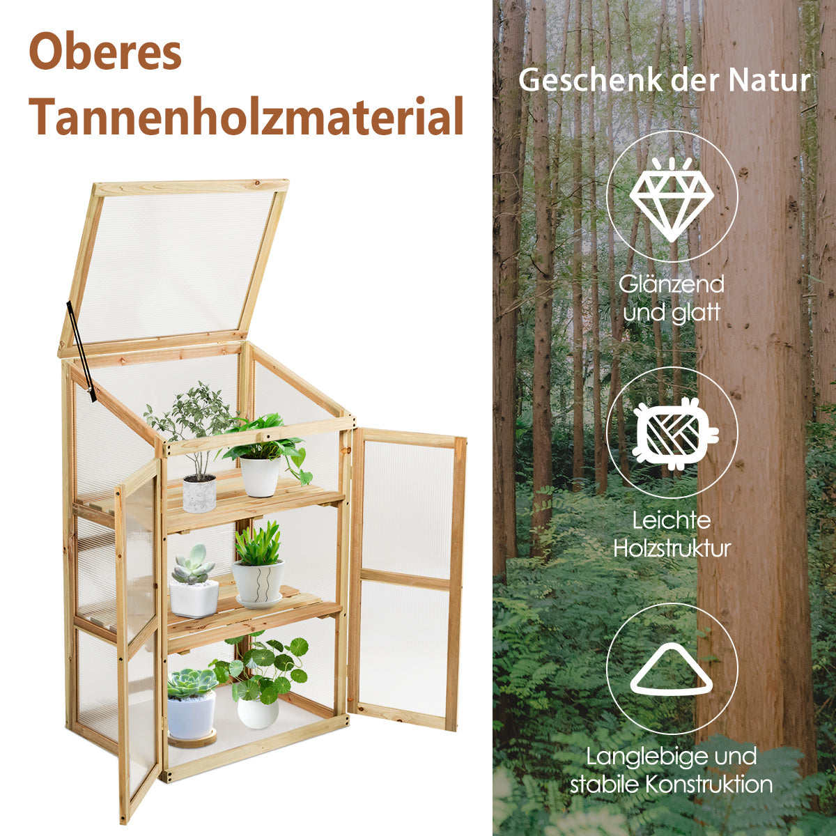 Gartenschrank, Pflanzenregal, Gewächshaus, Kaltgewächshaus, Kines Kaltgewächshaus, aus Holz, 3-Ebenen Schutz, Costway, 2